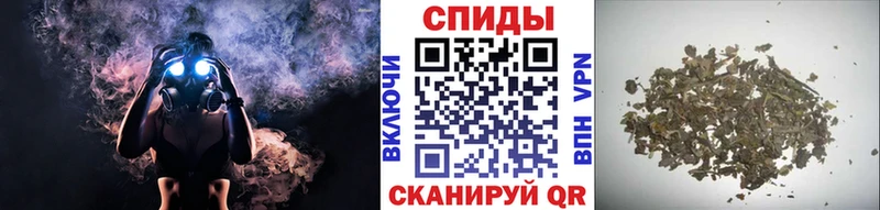 Купить где  Наволоки  Бутират 99% 