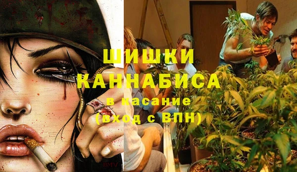 твердый Заволжск