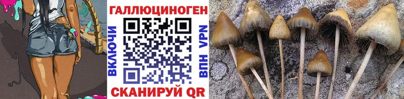 Галлюциногенные грибы прущие грибы Купить Наволоки