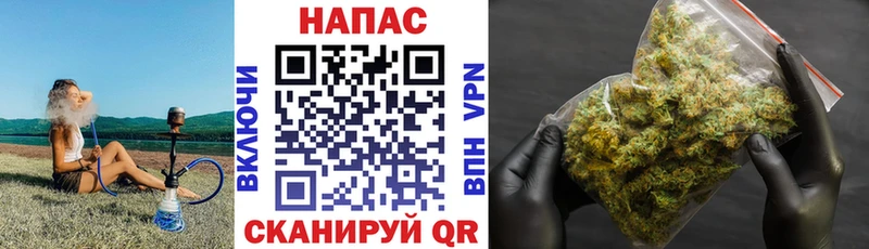 Бошки Шишки сатива  Купить закладки  Наволоки 